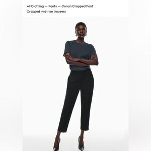 Aritzia Black Conan Cropped Pants